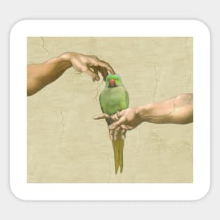 scritching a green indian ringneck #full Sticker